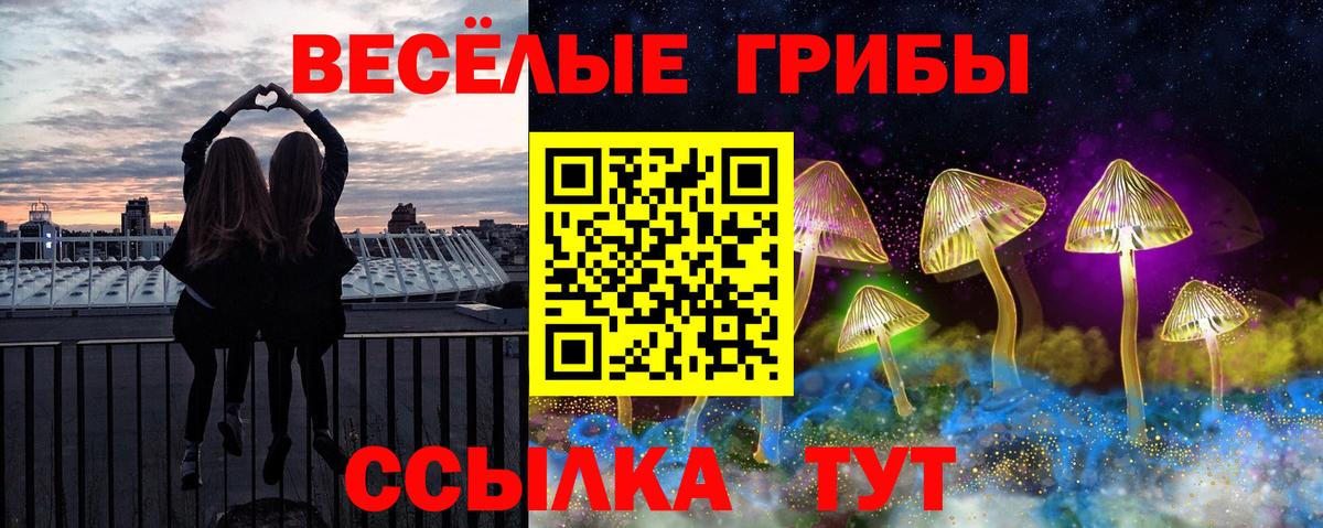 Псилоцибиновые грибы Psilocybe Волоколамск