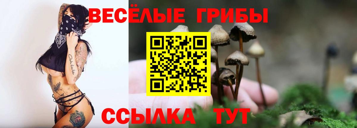 Псилоцибиновые грибы Cubensis  Галлюциногенные грибы ЛСД  Волоколамск  Вход с VPN 
