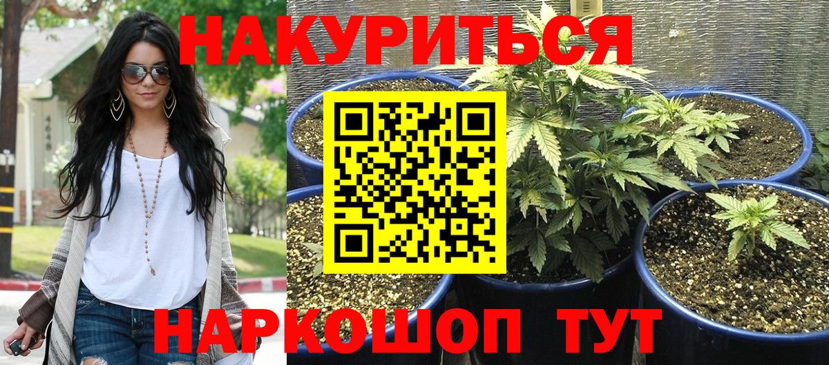 Шишки марихуана планчик  МАРИХУАНА планчик  Волоколамск  Вход с VPN 